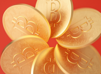 Karşınızda Akıllı Oracle!